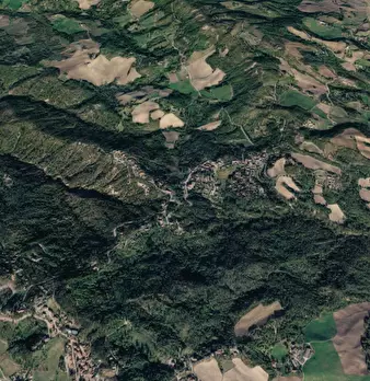 Foto annuncio 9