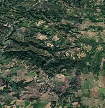 Foto annuncio 11