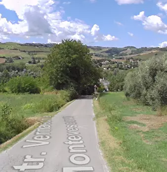 Foto annuncio 10