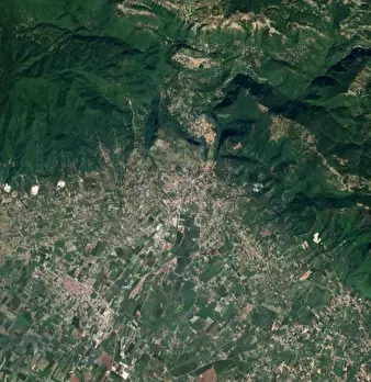 Foto annuncio 6