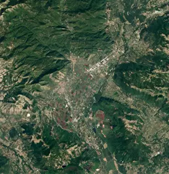 Foto annuncio 9
