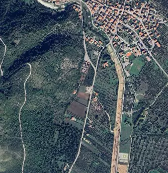 Foto annuncio 13