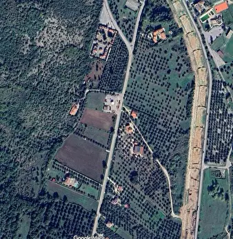 Foto annuncio 14