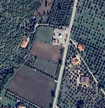 Foto annuncio 15