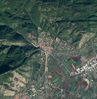 Foto annuncio 9