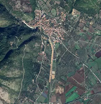 Foto annuncio 10