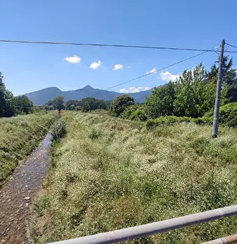 Foto annuncio 1