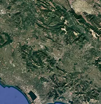 Foto annuncio 8