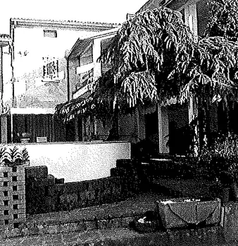 Foto annuncio 5
