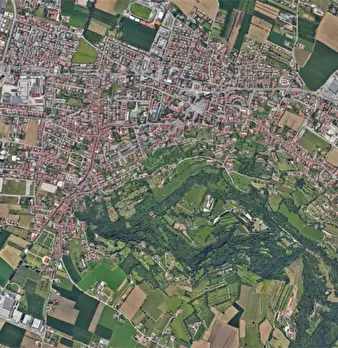 Foto annuncio 30