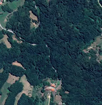 Foto annuncio 9