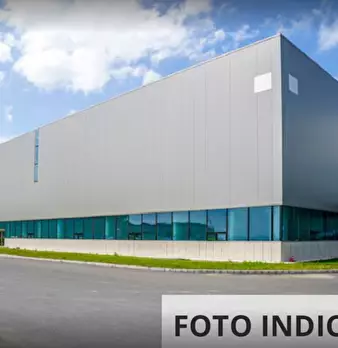 Foto annuncio 6