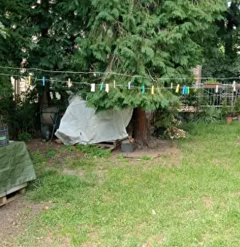 Foto annuncio 3