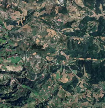 Foto annuncio 23