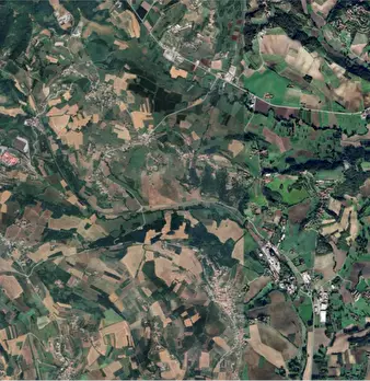 Foto annuncio 26