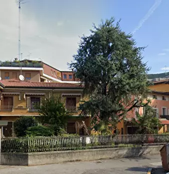 Foto annuncio 9