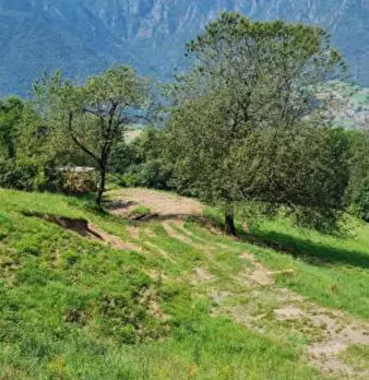 Foto annuncio 2