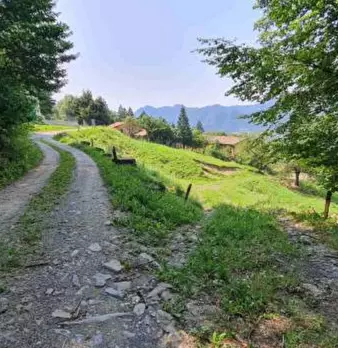 Foto annuncio 7