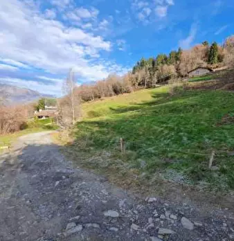 Foto annuncio 4