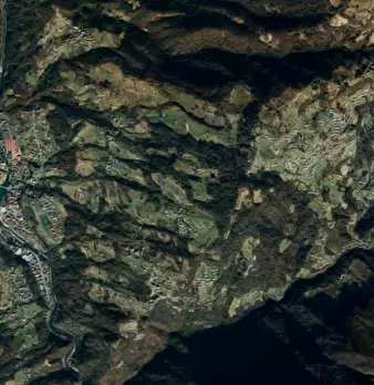 Foto annuncio 13