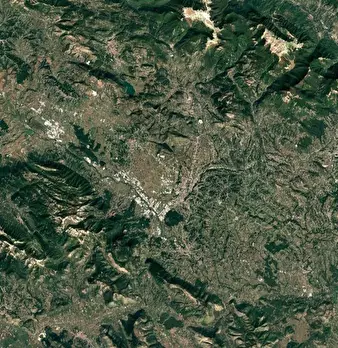 Foto annuncio 7