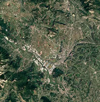 Foto annuncio 8