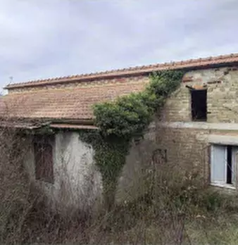 Foto annuncio 1