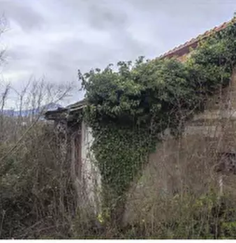 Foto annuncio 4
