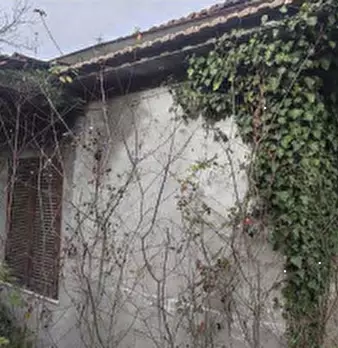 Foto annuncio 5