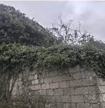 Foto annuncio 6