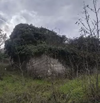 Foto annuncio 7