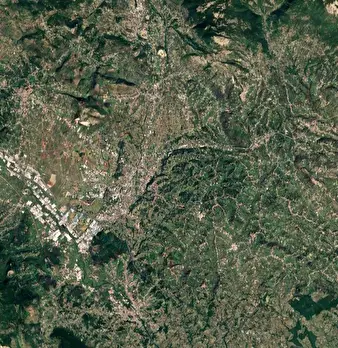 Foto annuncio 12
