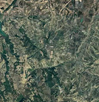 Foto annuncio 10