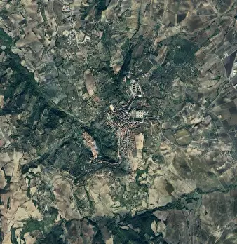 Foto annuncio 11