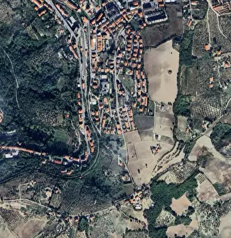 Foto annuncio 13