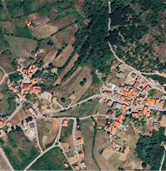 Foto annuncio 1