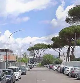 Foto annuncio 5