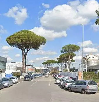 Foto annuncio 7