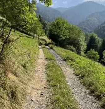 Foto annuncio 2
