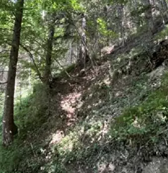 Foto annuncio 5