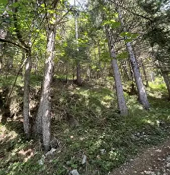 Foto annuncio 8