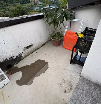 Foto annuncio 12