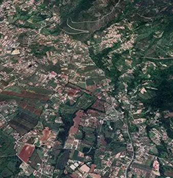 Foto annuncio 10