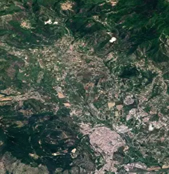 Foto annuncio 11