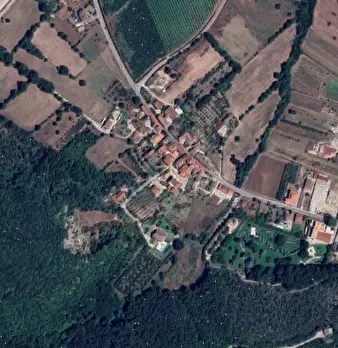Foto annuncio 19