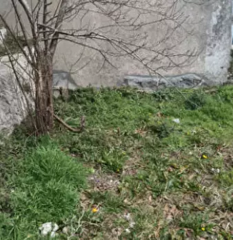 Foto annuncio 7