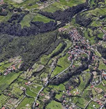 Foto annuncio 10