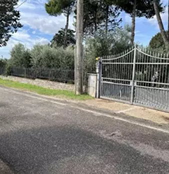 Foto annuncio 2