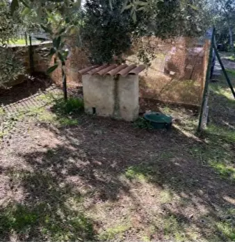 Foto annuncio 3