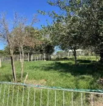 Foto annuncio 12